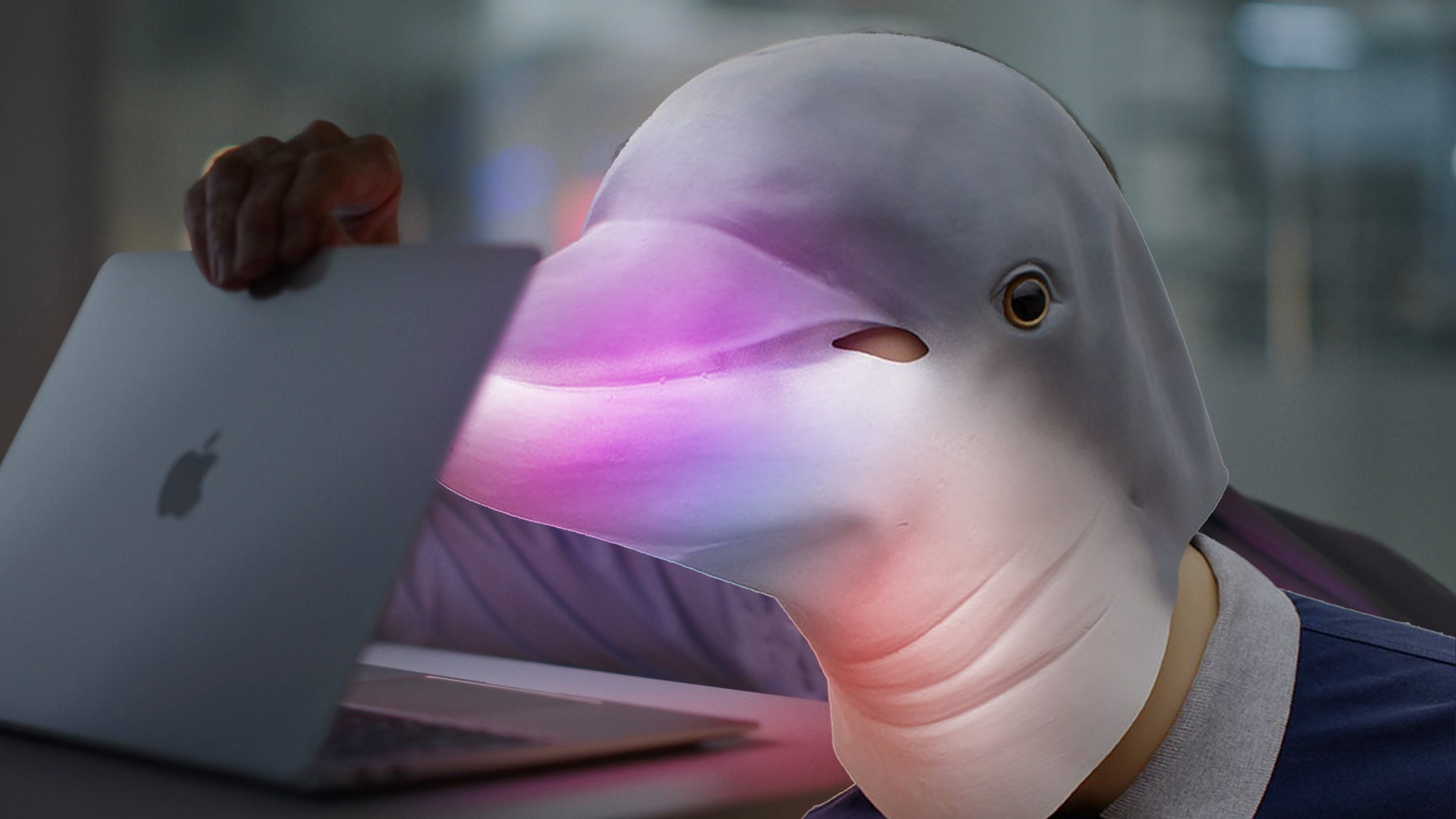 dolphin emulator mac memory card